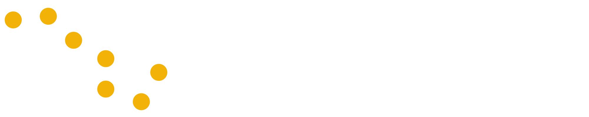 Iridium-Logo white